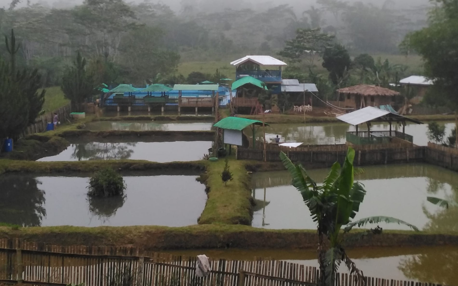 Big Boss Cold Spring Resort and Fish Farm
