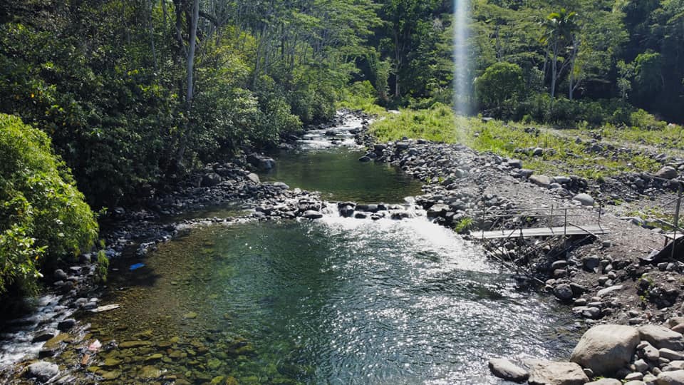Logdeck River
