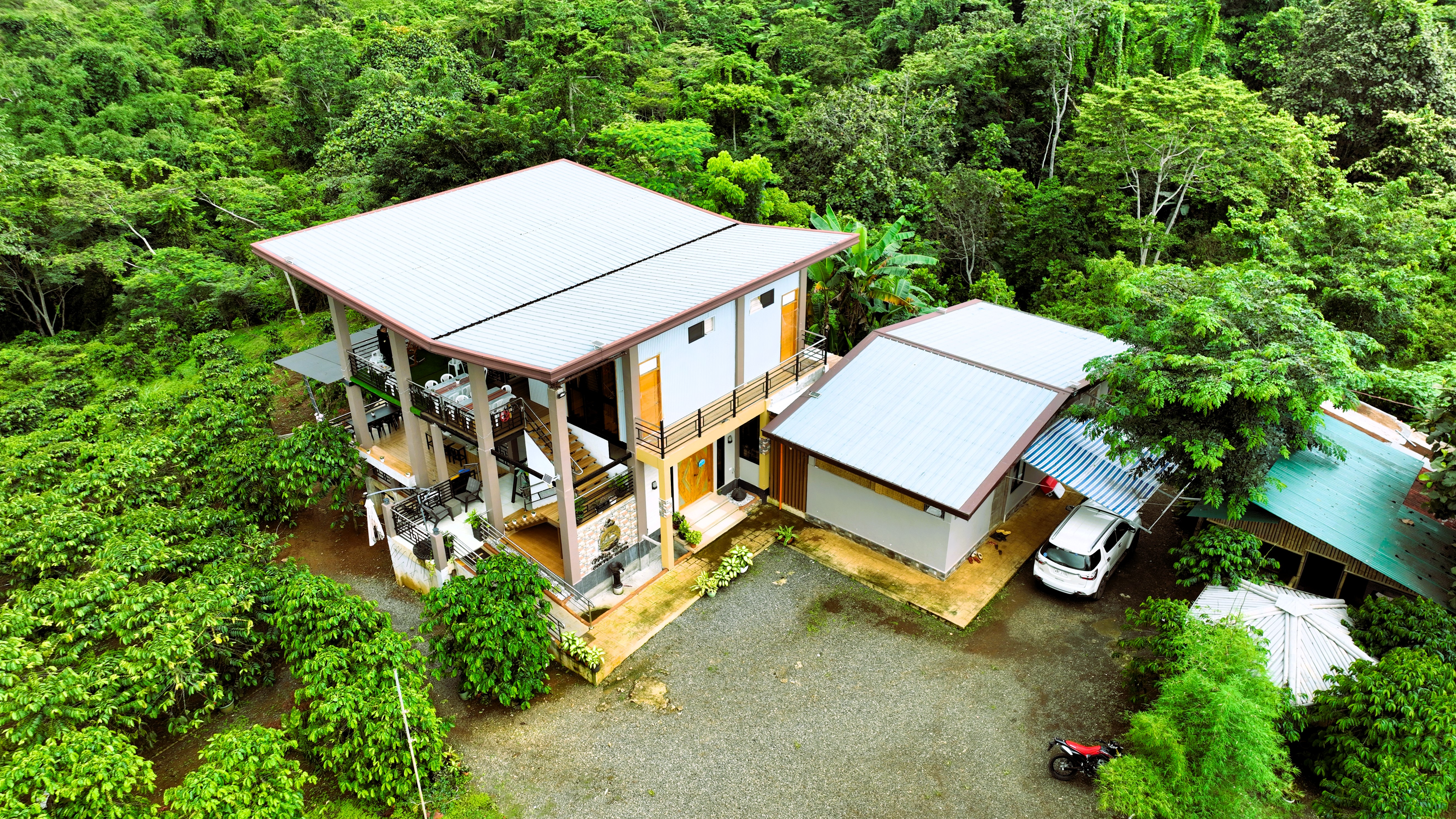 Min Sea - Coffee Farm